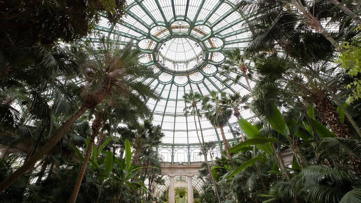 © @belgianroyalpalace Photo des serres royales de Laeken © @belgianroyalpalace