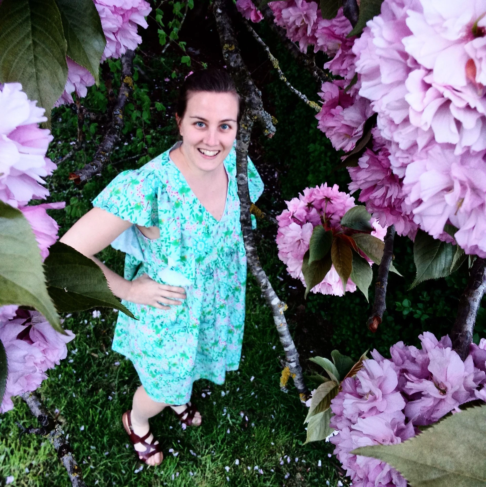 Robe cousue dans la cretonne de coton Serres