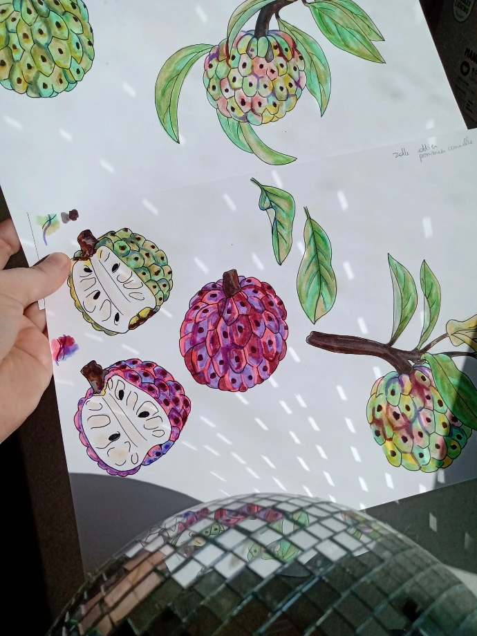 dessin de motif