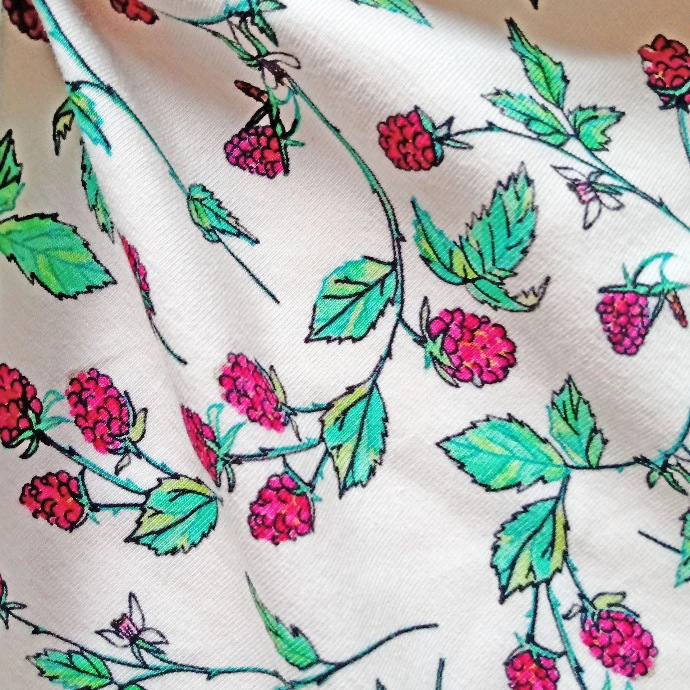 tissu jersey framboises sur fond blanc