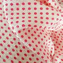DSCN3551.webp