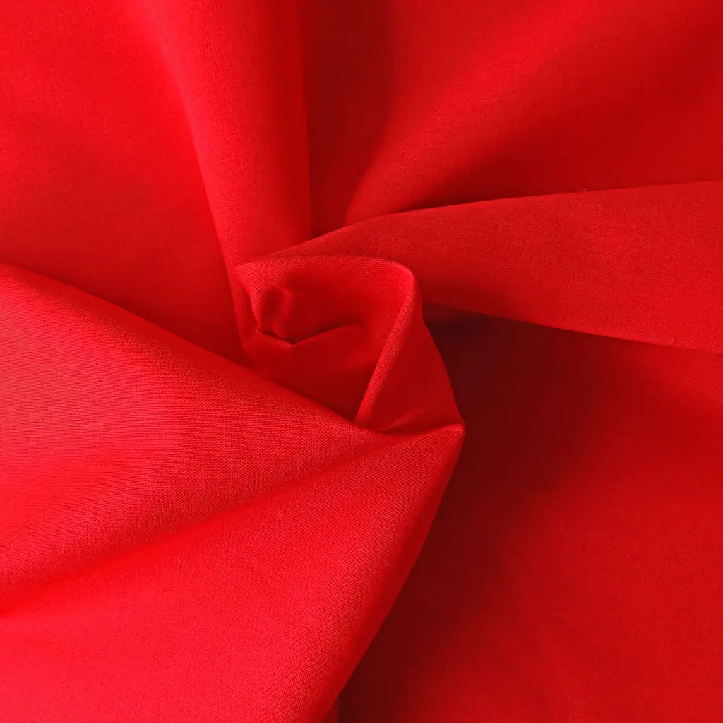 Rouge 1.webp