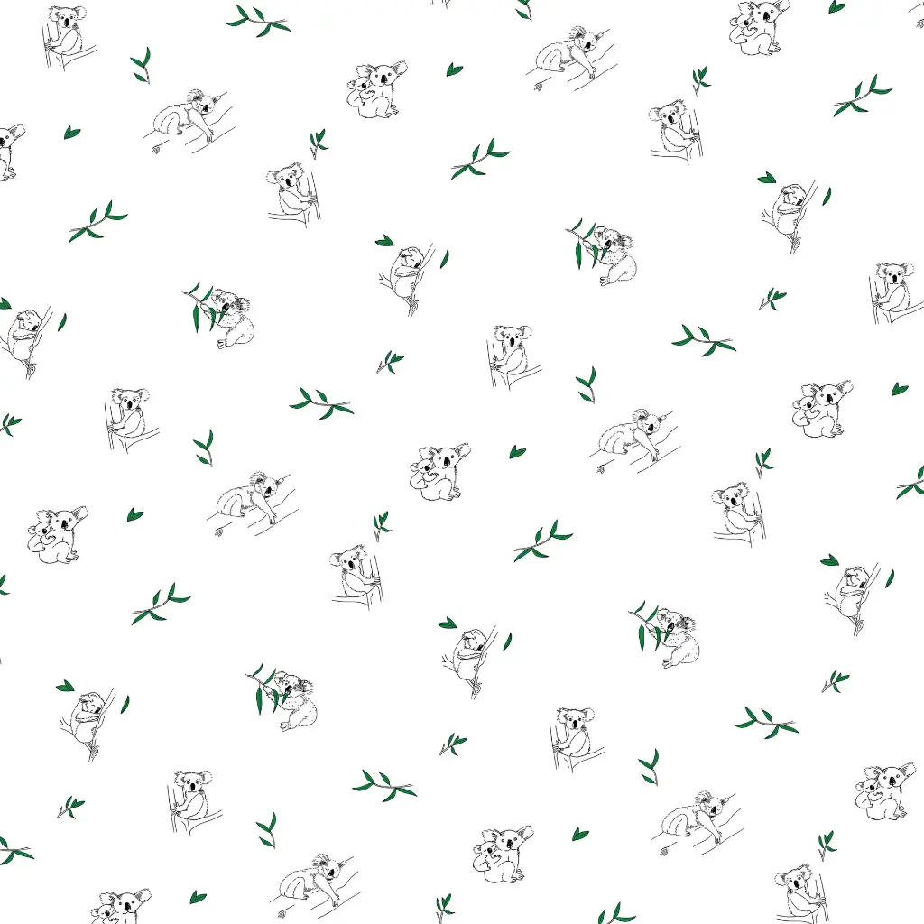 koalas blanc.webp