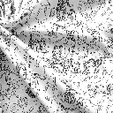 COLOR Carnaval 1b.webp