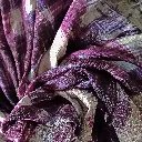 IMG_20210921_164908803.webp
