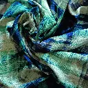 DSCN2634.webp