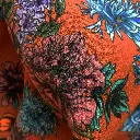 DSCN3619.webp