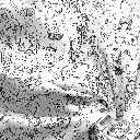 COLOR Carnaval 1a.webp