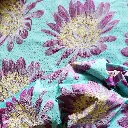 DSCN2656.webp