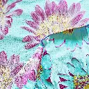 DSCN2657.webp