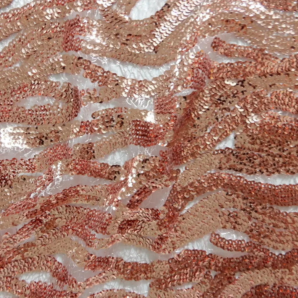 DSCN2162c.webp