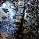 DSCN2695.webp