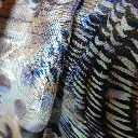 DSCN2697.webp