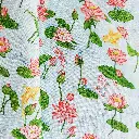 KOIS&LIBBELULES 5r.webp