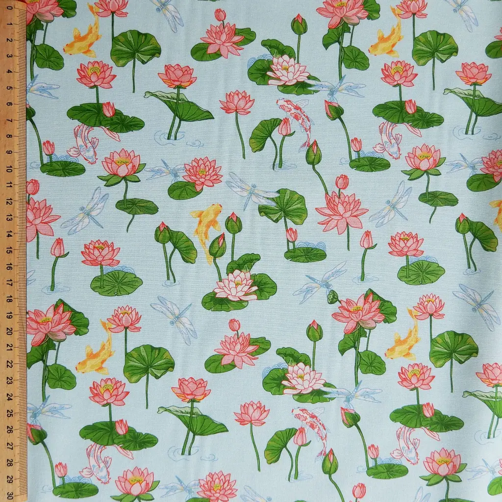 KOIS&LIBBELULES 1r.webp