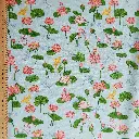 KOIS&LIBBELULES 1r.webp