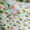 KOIS&LIBBELULES 3r.webp