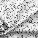 COLOR Noel 1b.webp