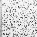 COLOR Noel 3.webp