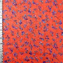 pop BAIE orange 3b.webp