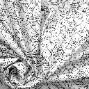 COLOR Paques 1b.webp