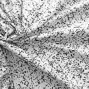 COLOR Paques 1c.webp