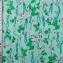 popeline HARICOTS céladon 3b.webp