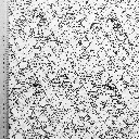 COLOR Paques 3.webp
