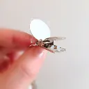 Design sans titre (22).webp