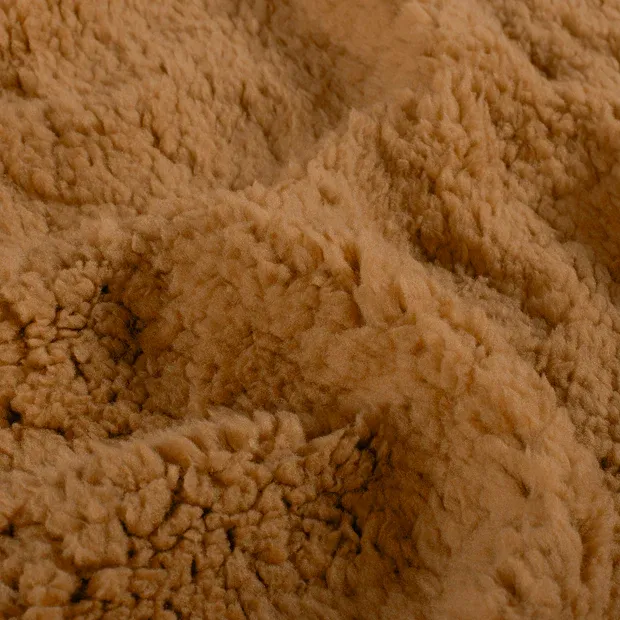 sherpa camel.webp