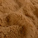 sherpa camel.webp