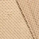 minkee camel 053 1.webp