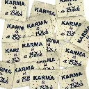 karma is a bitch.webp