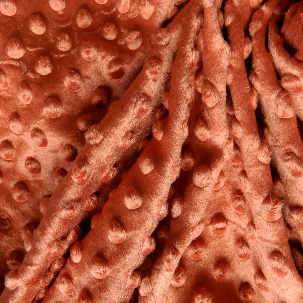 minky rouille 4.webp