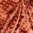 minky rouille 4.webp