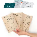 GRAINE KIT broderie lineart - contenu.webp