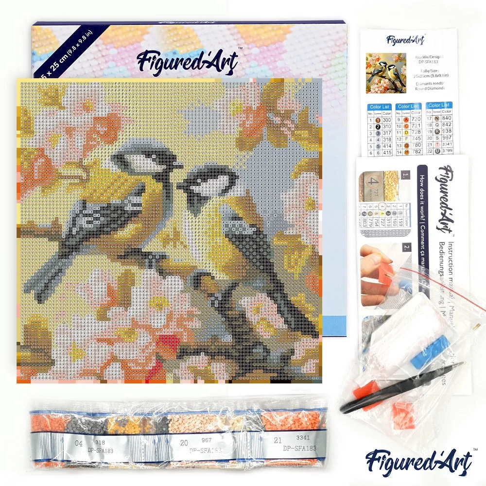kit diamond painting mésanges - contenu.webp