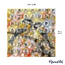 kit diamond painting mésanges - taille.webp