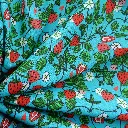 Fraises 1b.webp