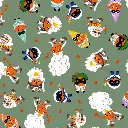 oranges costumées (3).webp