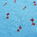 Fish 2a.webp