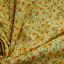 Jonquilles 1a.webp