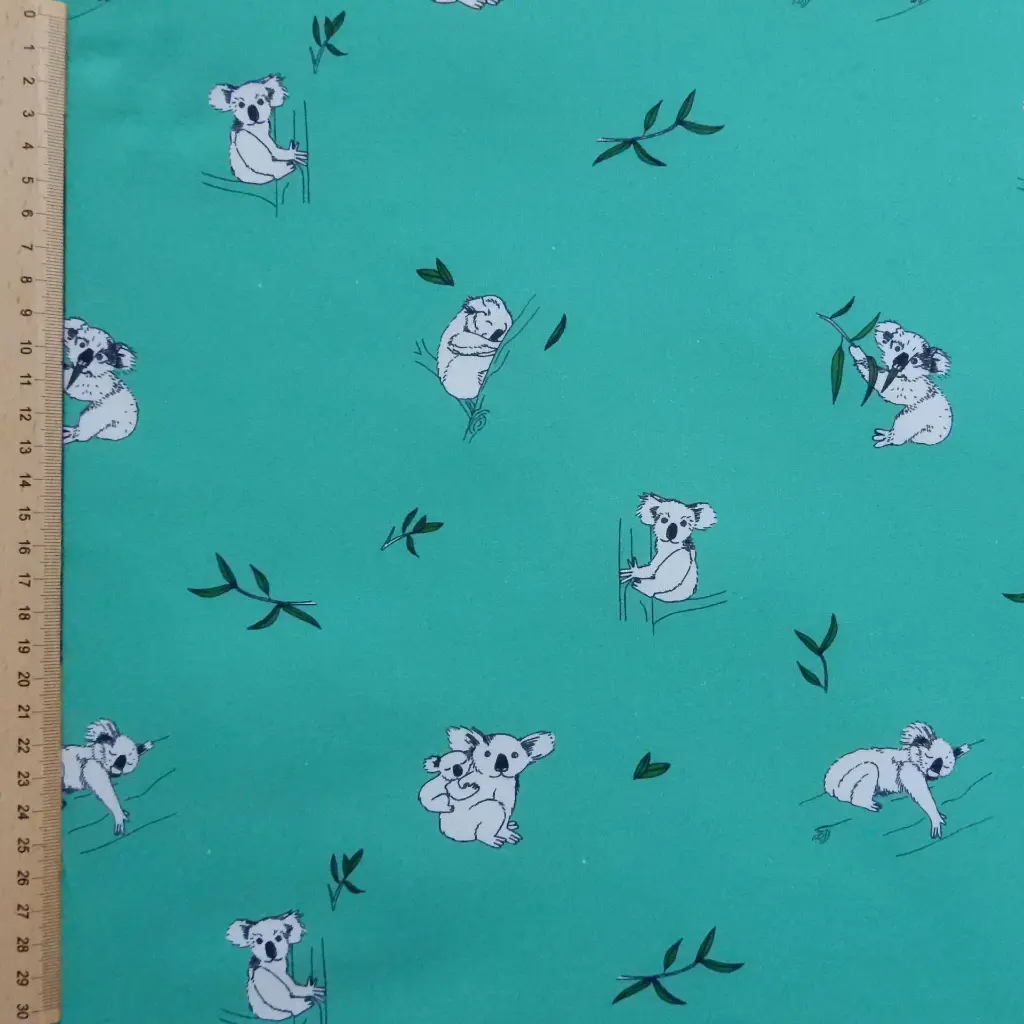 Koala 3.webp