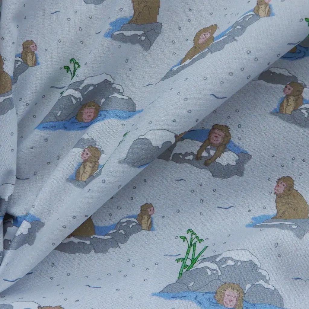 Onsen monkee 1.webp