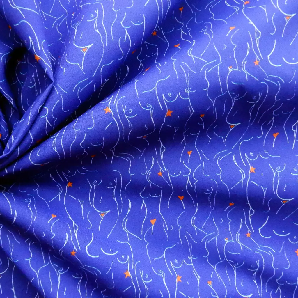 Silhou bleu 1c.webp