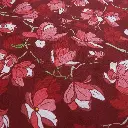Magnolia bordeaux 2.webp