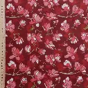 Magnolia bordeaux 3.webp