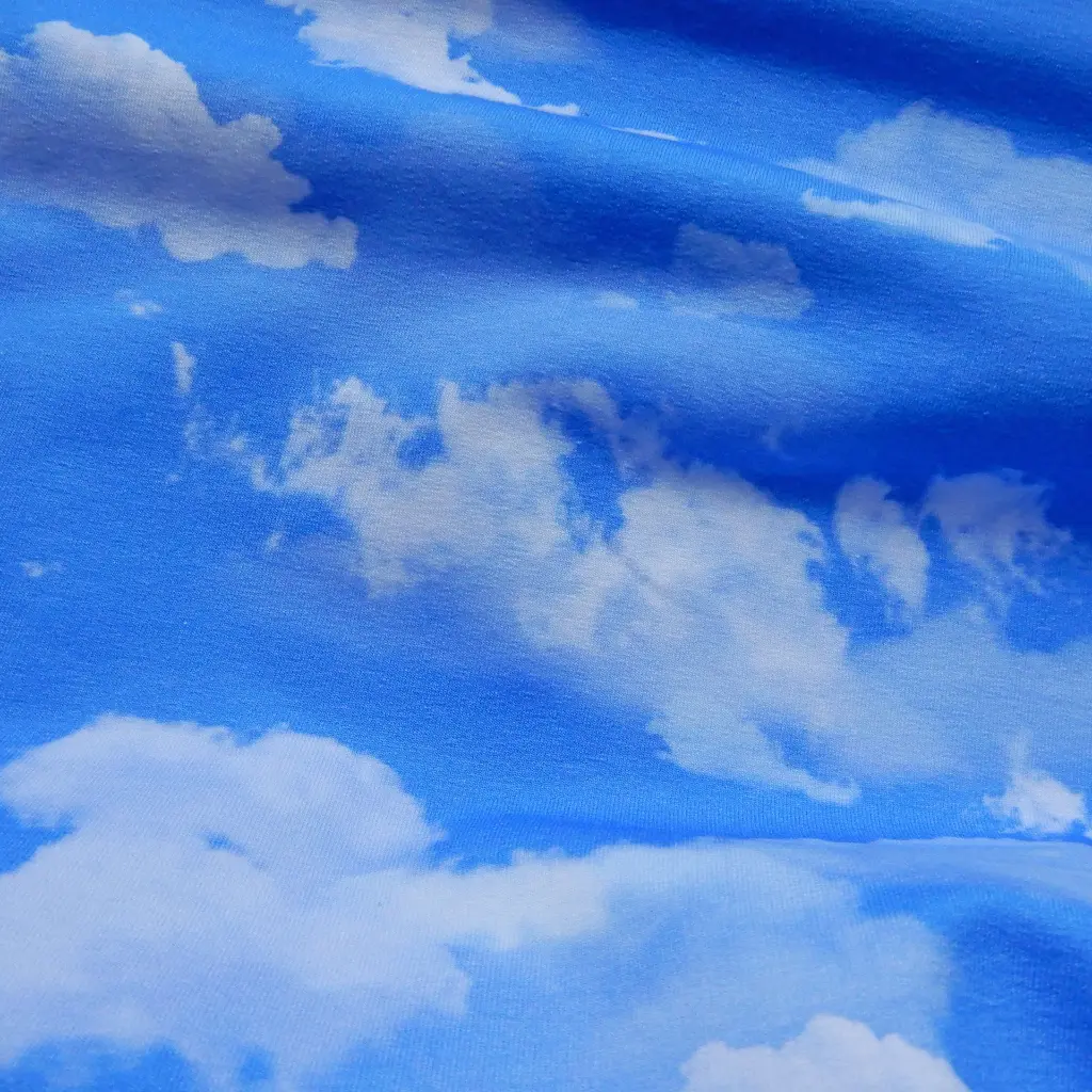 french-terry-ciel-jersey-motif-ciel3.webp
