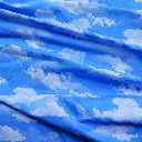 french-terry-ciel-jersey-motif-ciel4a.webp