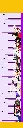 toises ath mauve jaune.webp